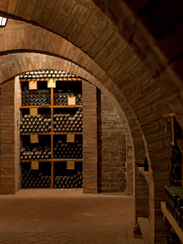 Finca Flichman 7
